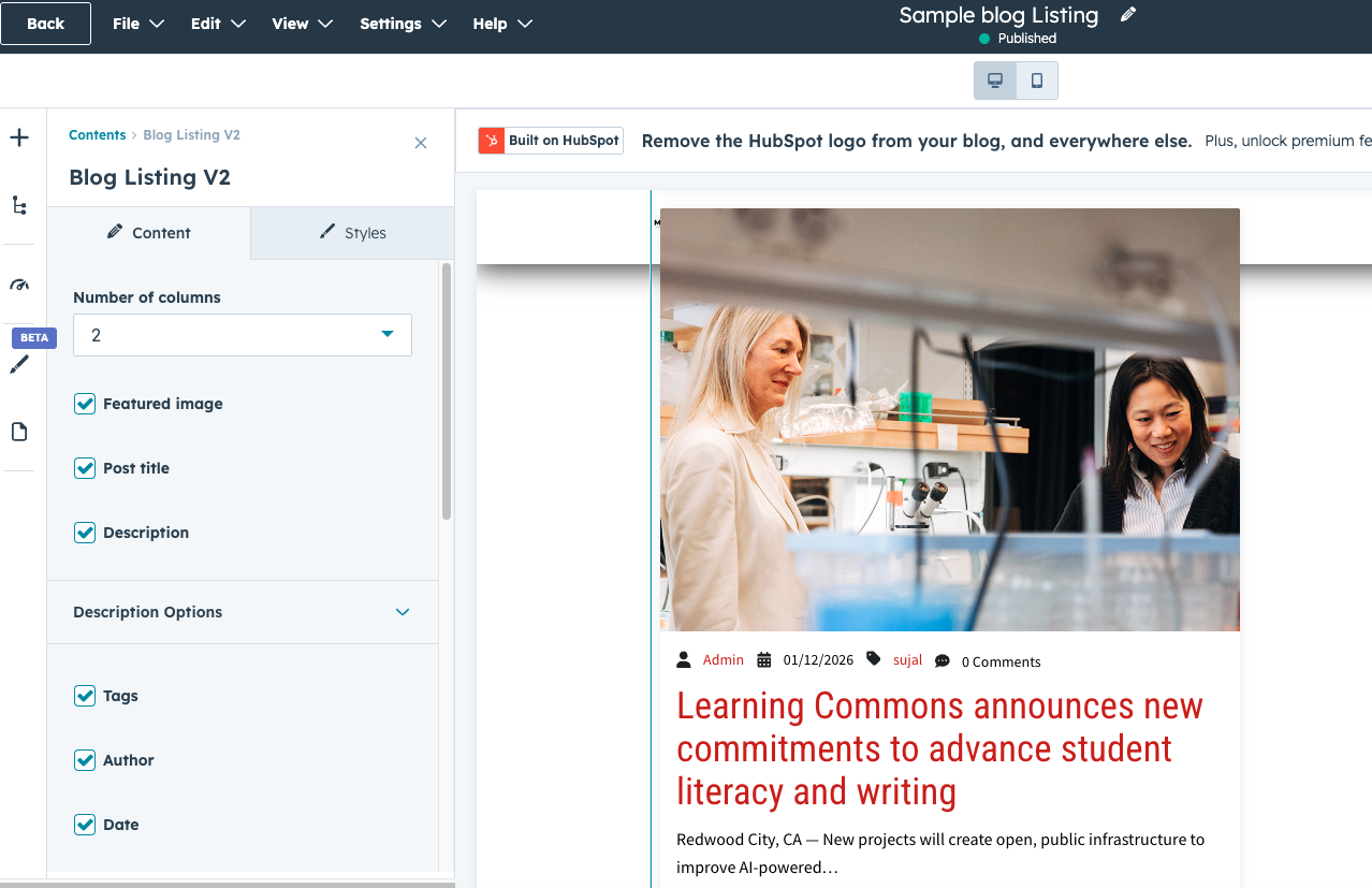 Customized blog layout example
