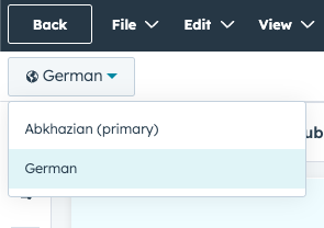 Example language switcher on a website