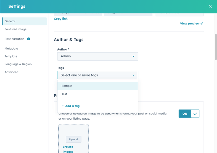 HubSpot blog tag management