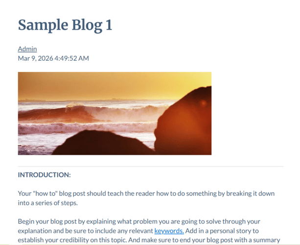 Individual blog post template layout