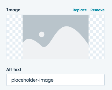 Using alt text for images
