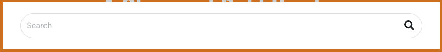 Website search bar Example