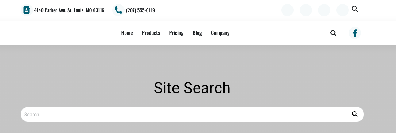 Website-search-bar-example