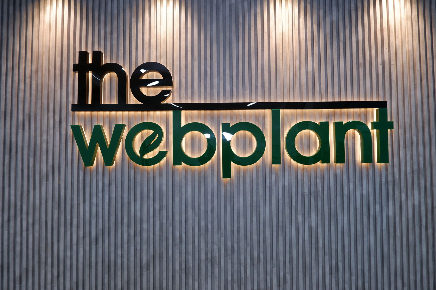 The Web Plant
