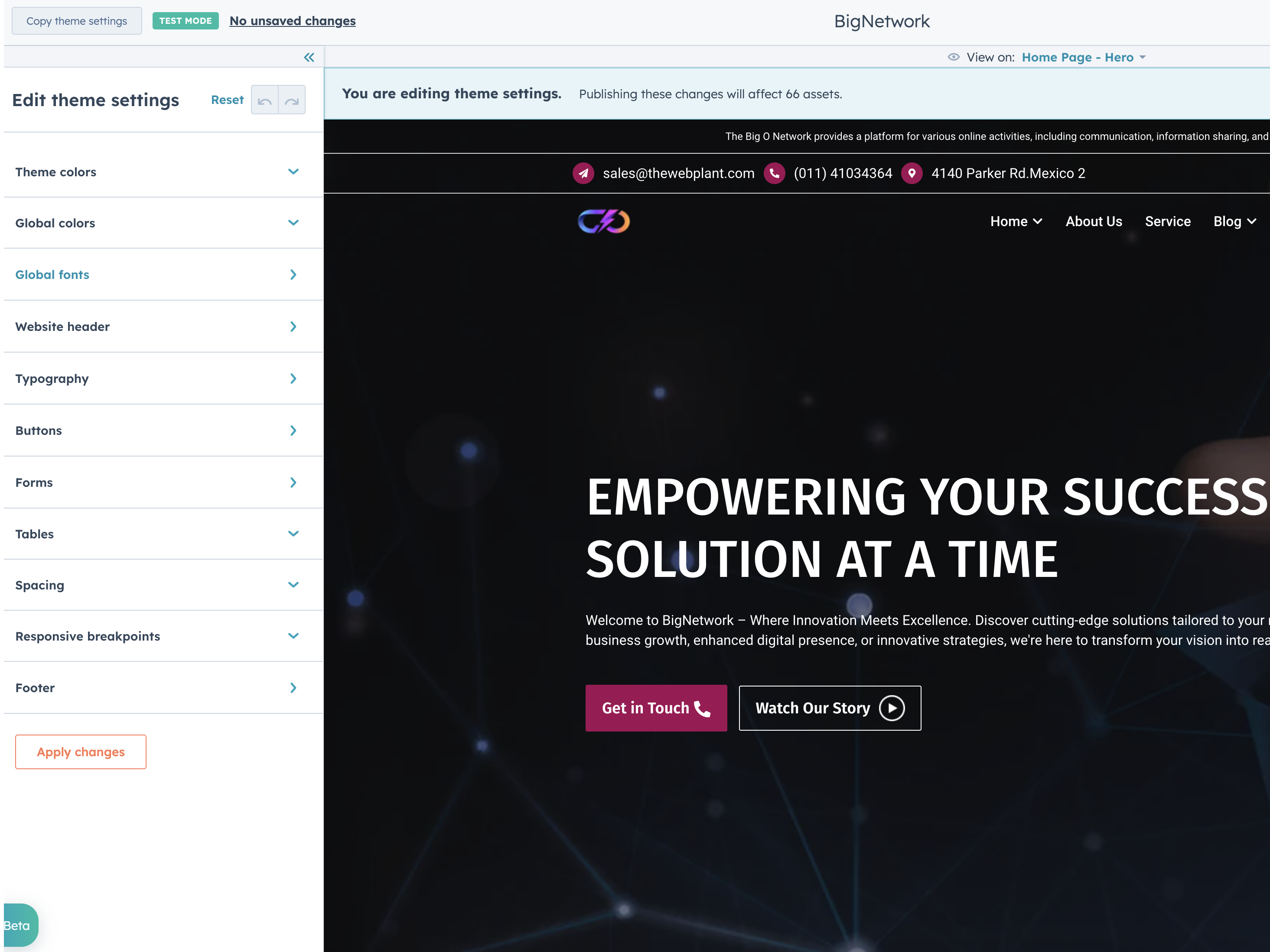 Extensive and Flexible Theme Settings Option