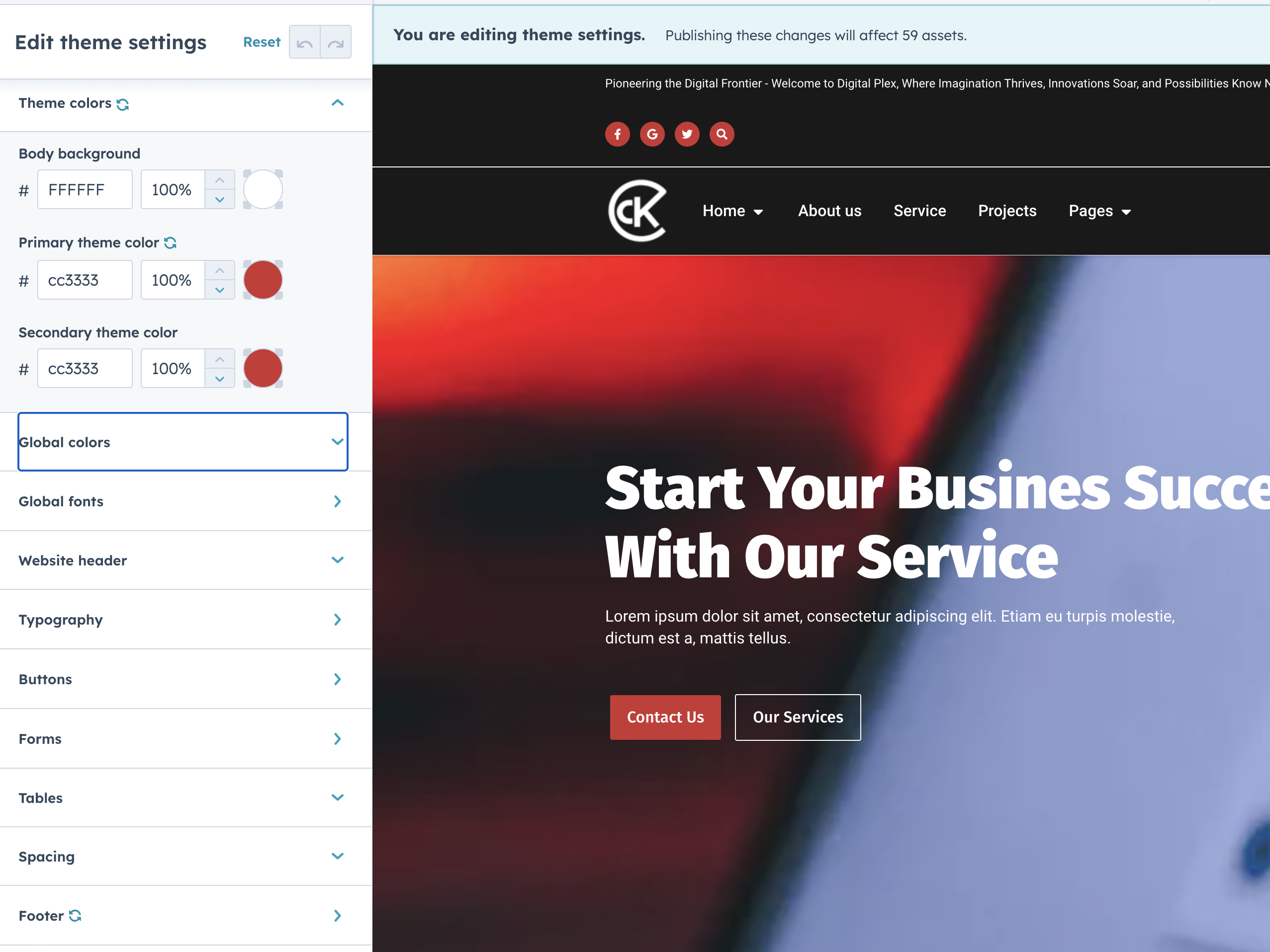 Extensive Theme Options