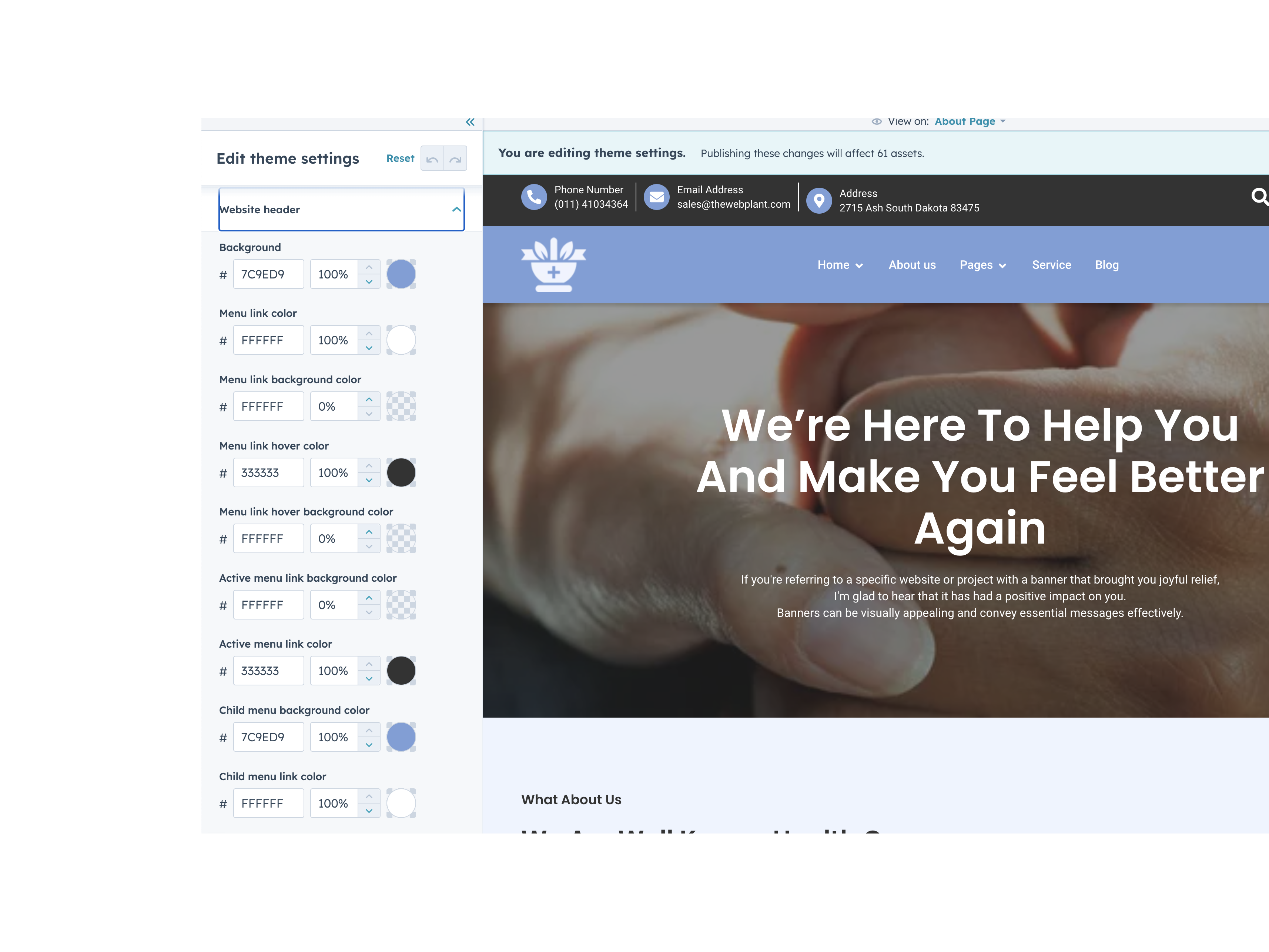 Extensive Theme Customization Options