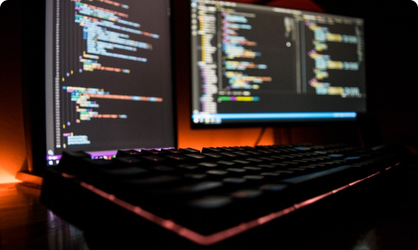 Web Development Bootcamp